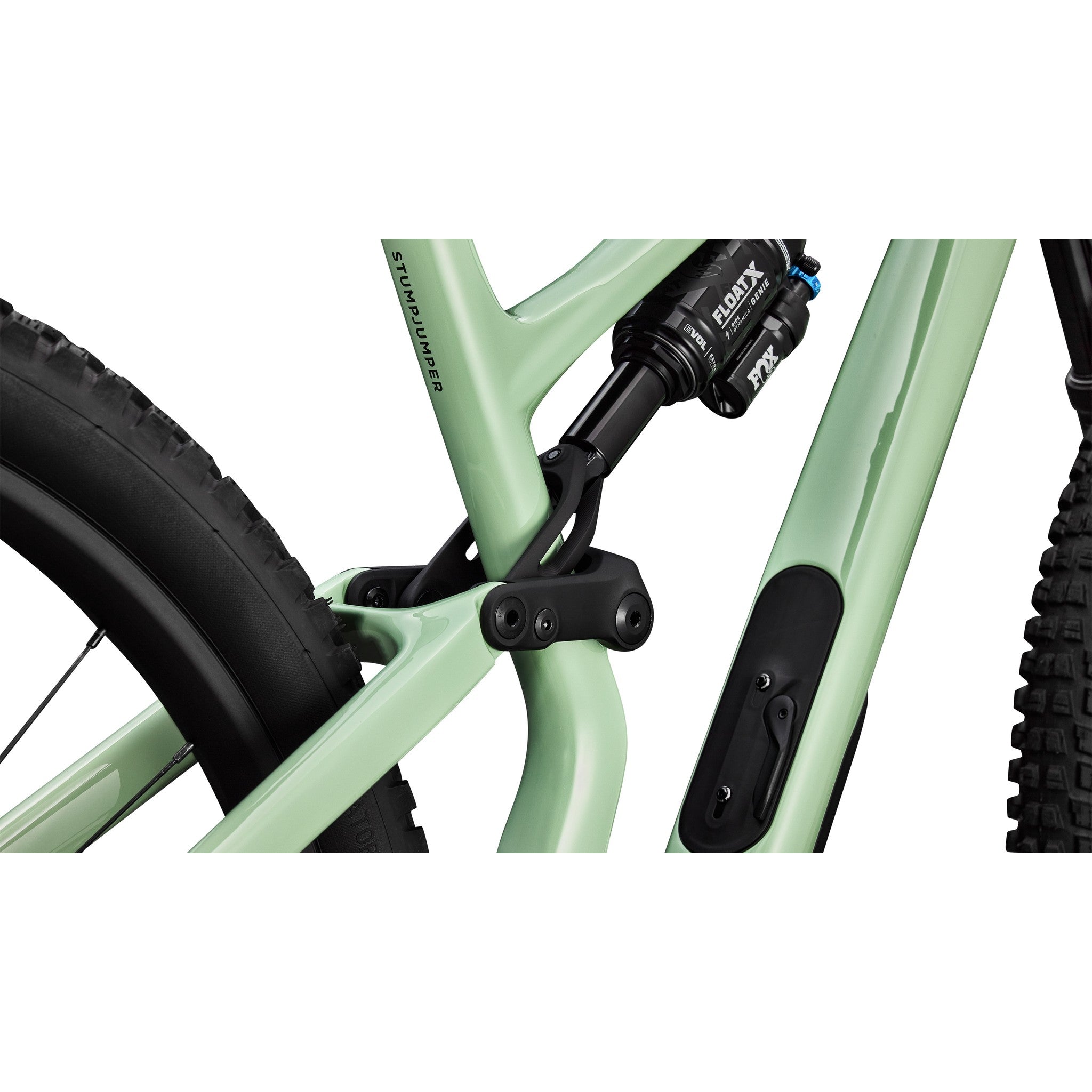 Stumpjumper 15 EVO Expert AXS