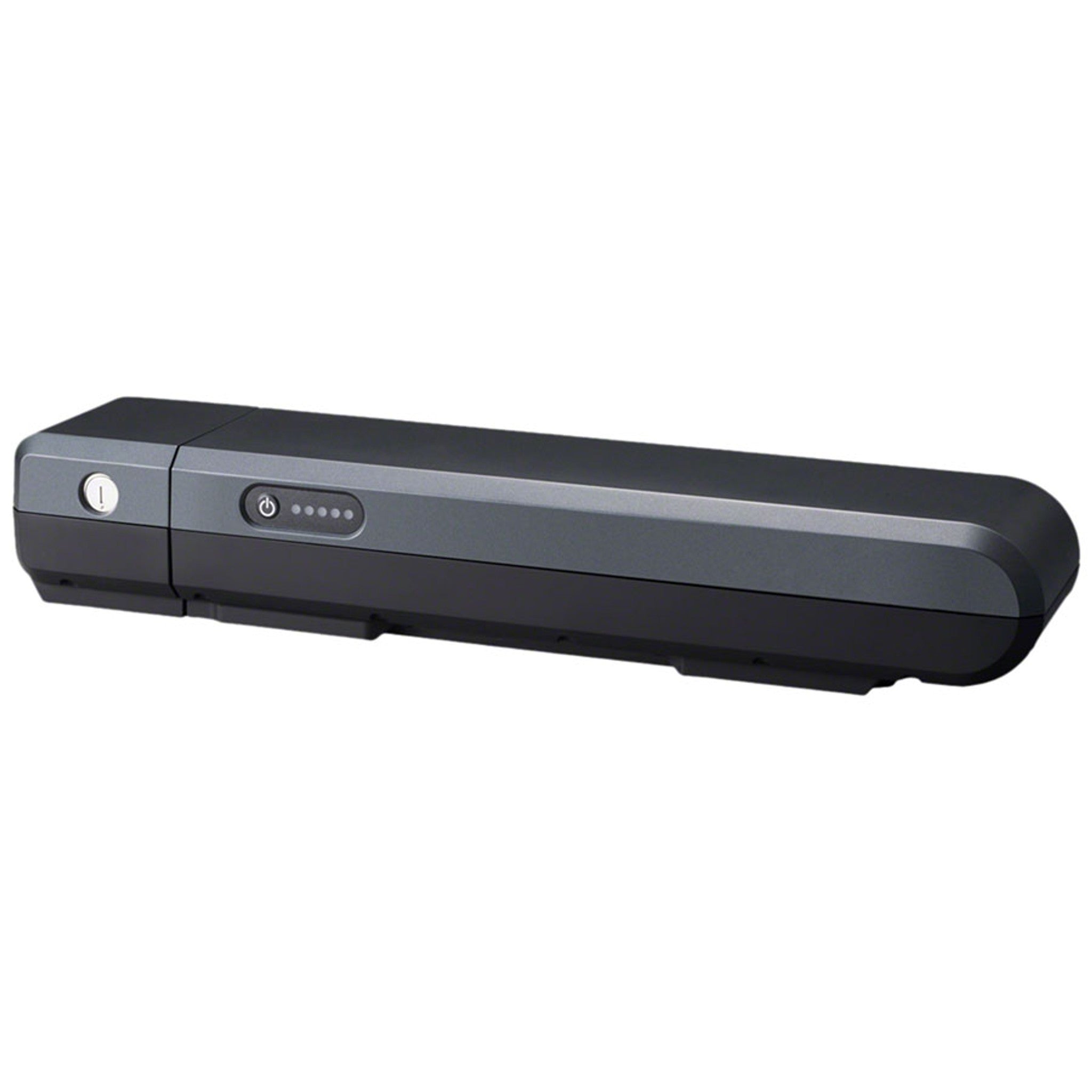 STEPS Battery