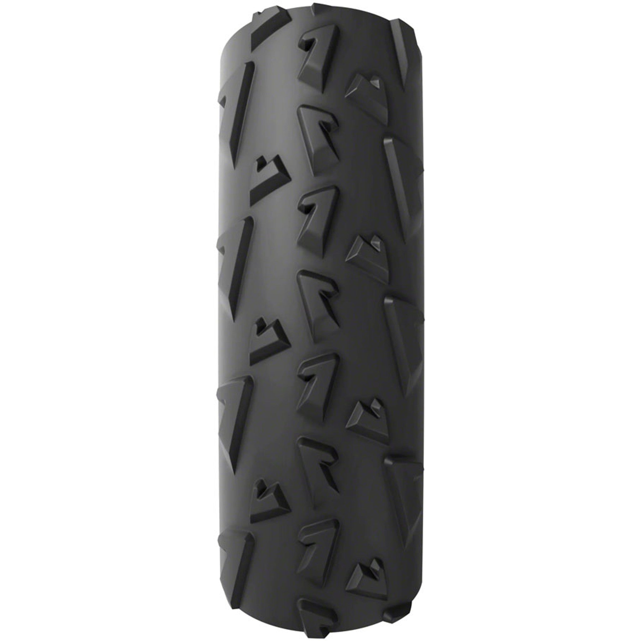 A Dugast Rhino Tire