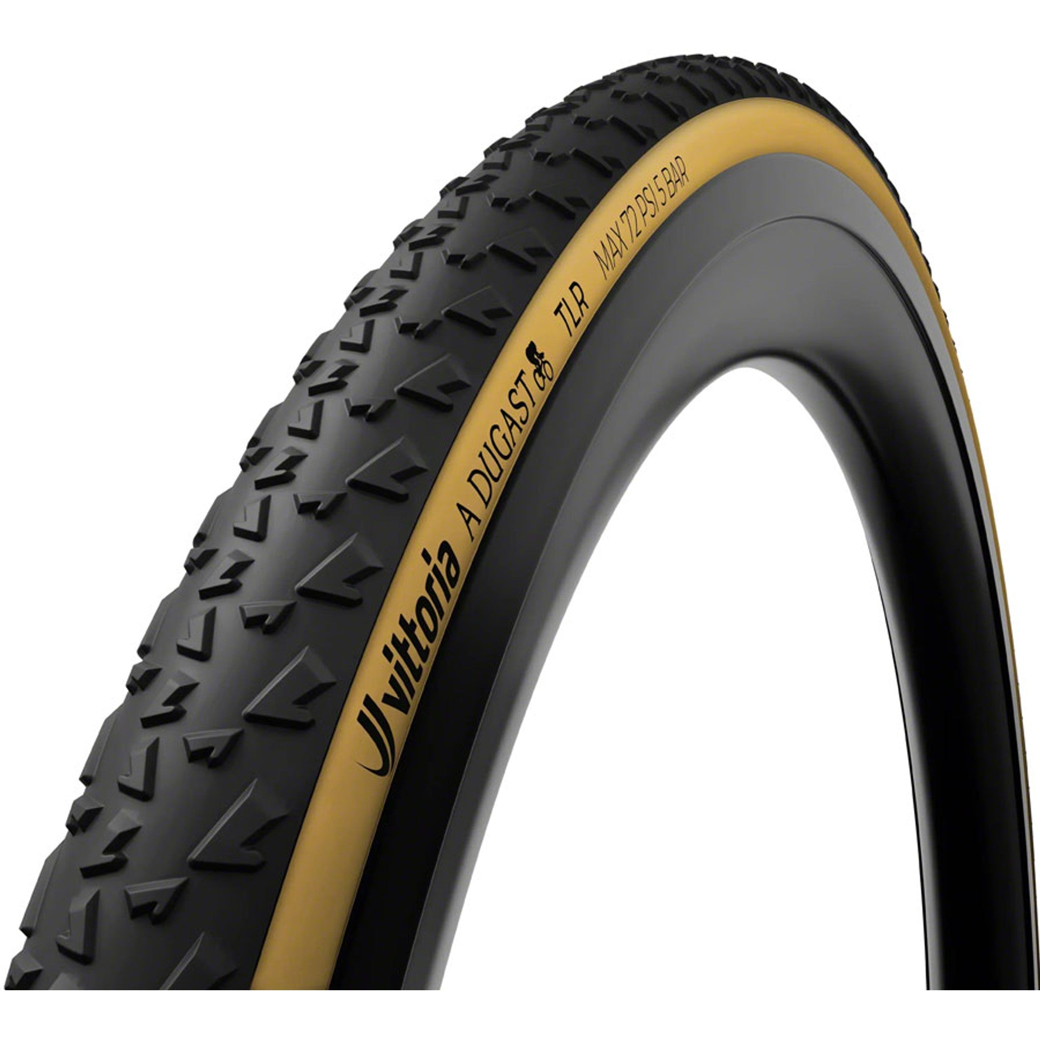 A Dugast Rhino Tire