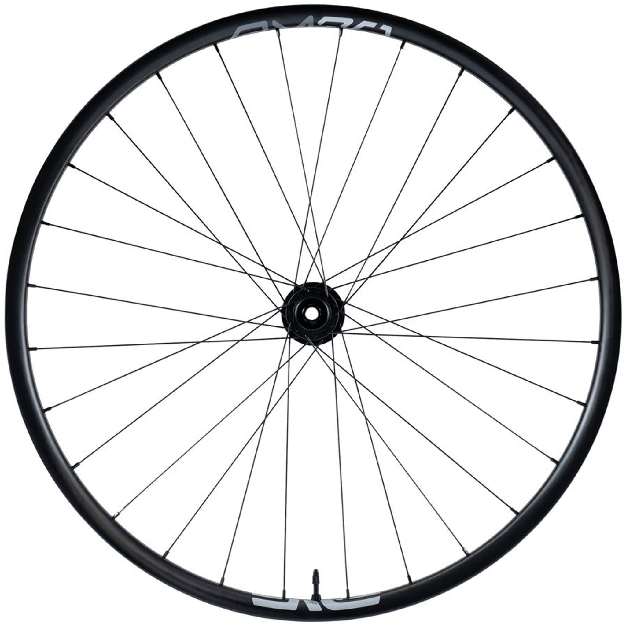 AM30 Foundation Rear Wheel