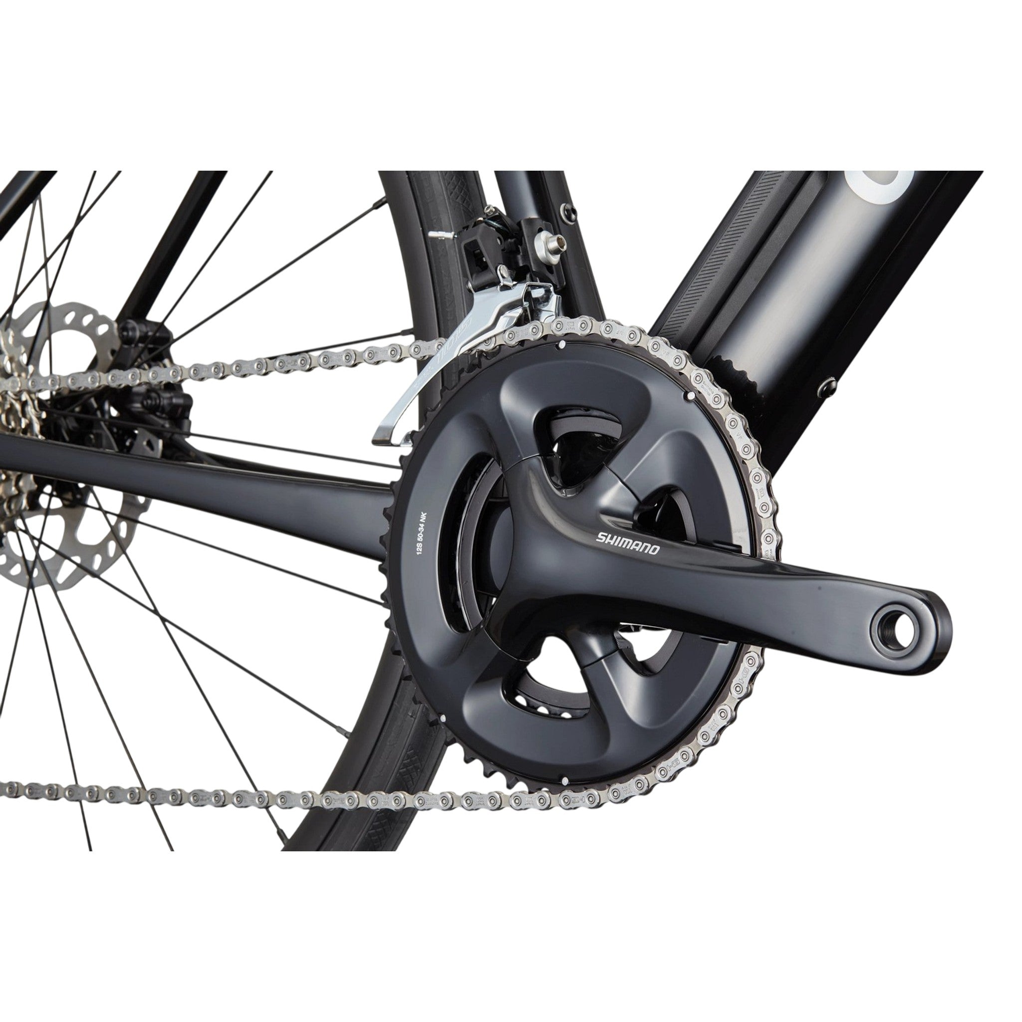 Synapse Crb 3 L