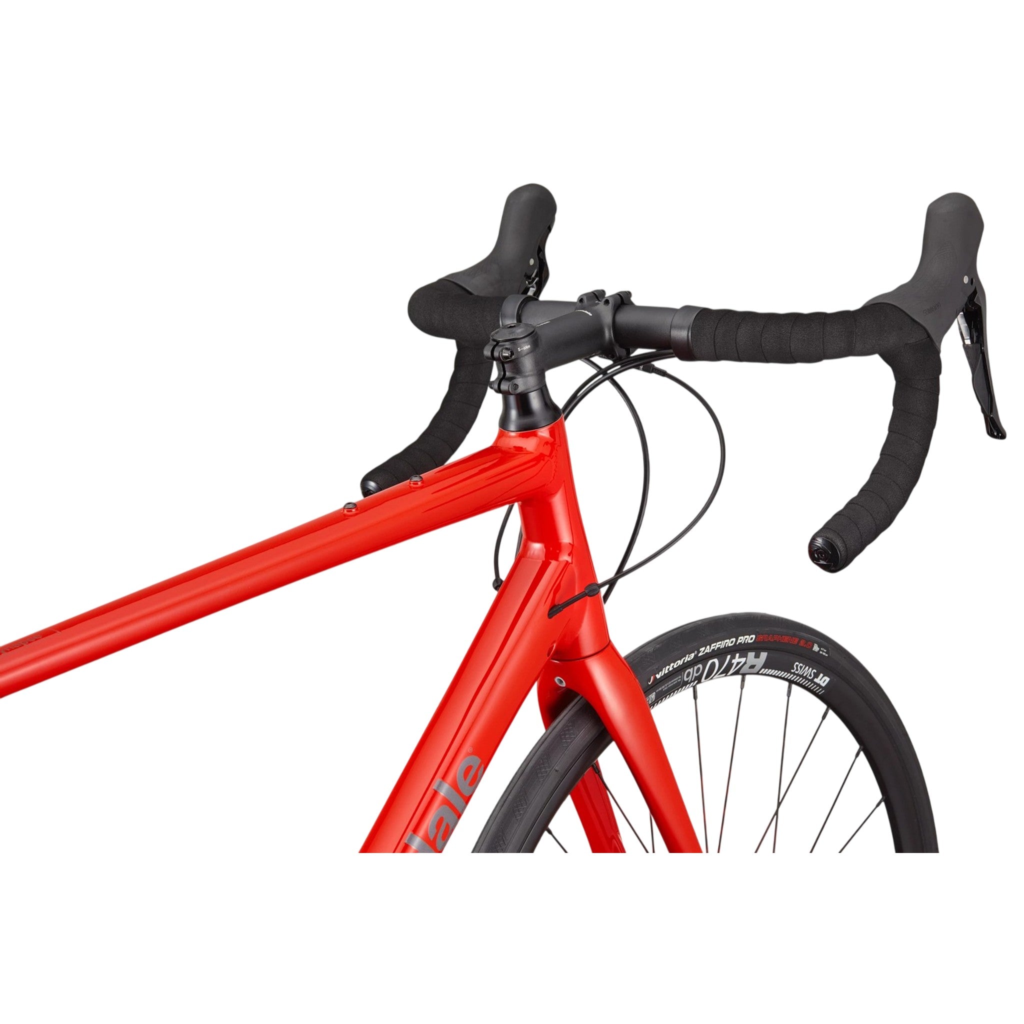 Synapse 1