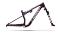 S-Works Epic 9 Frameset
