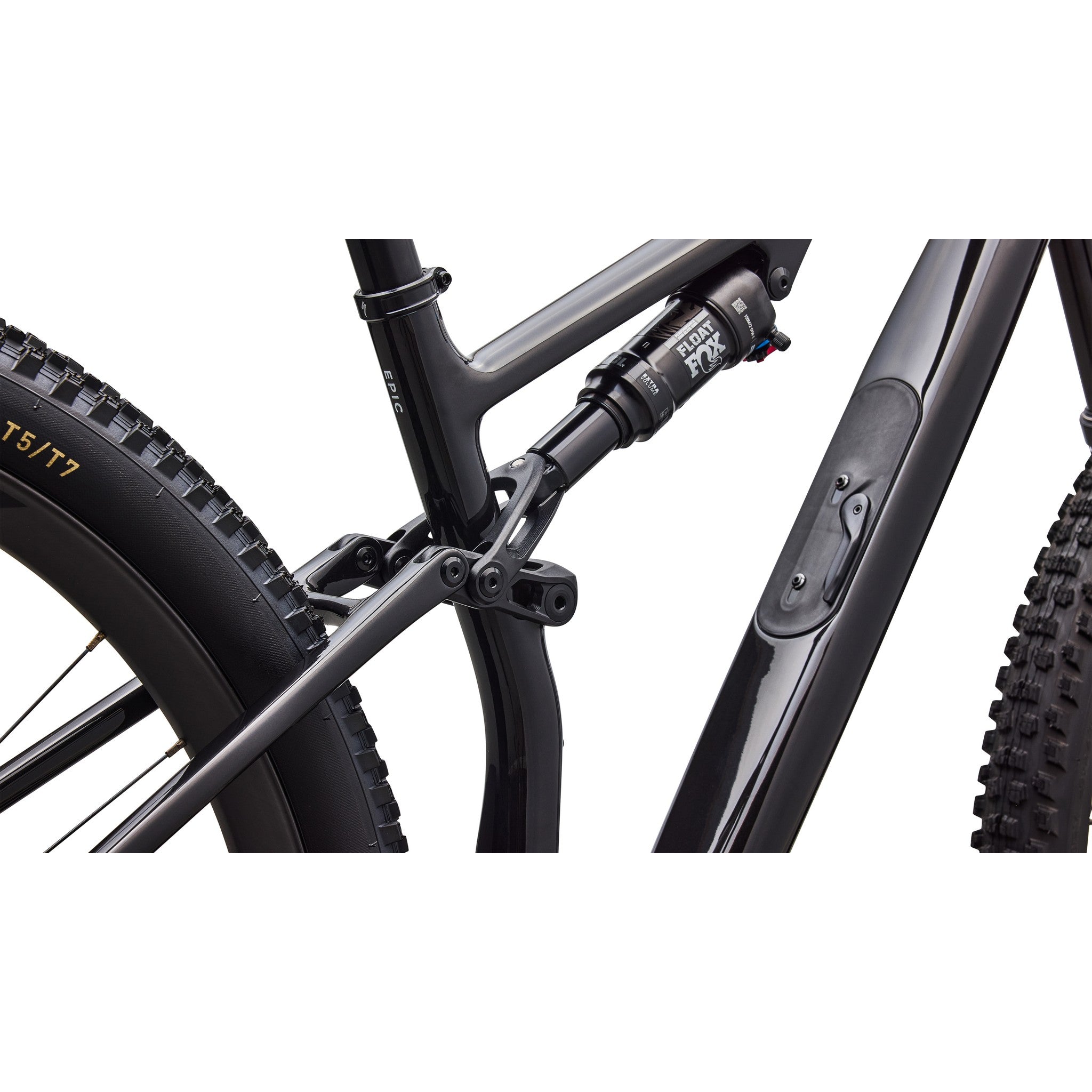 Epic 8 EVO Expert  - SRAM GX AXS, FOX Performance Elite