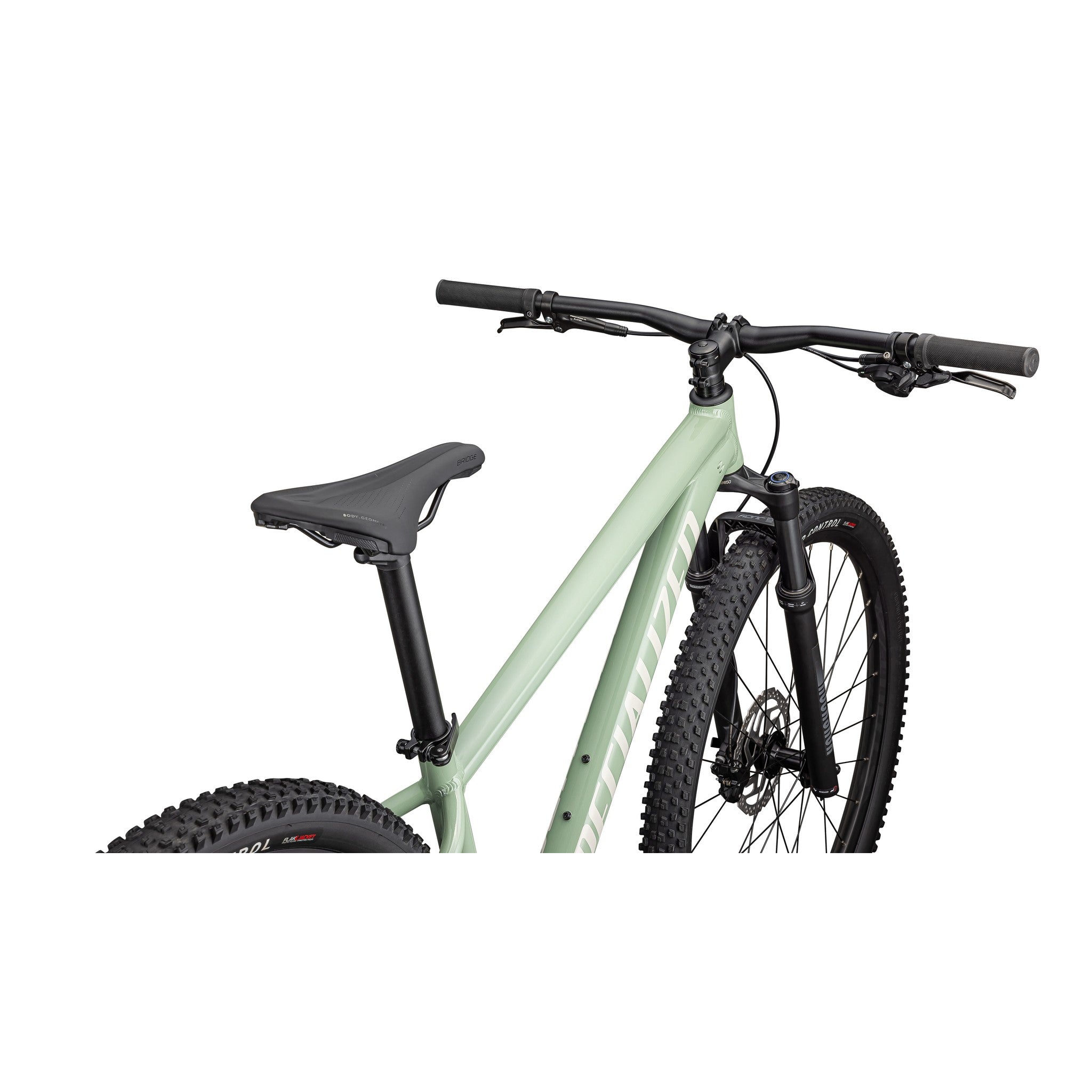 Rockhopper Comp - Gloss Pistachio / White Mountains / L