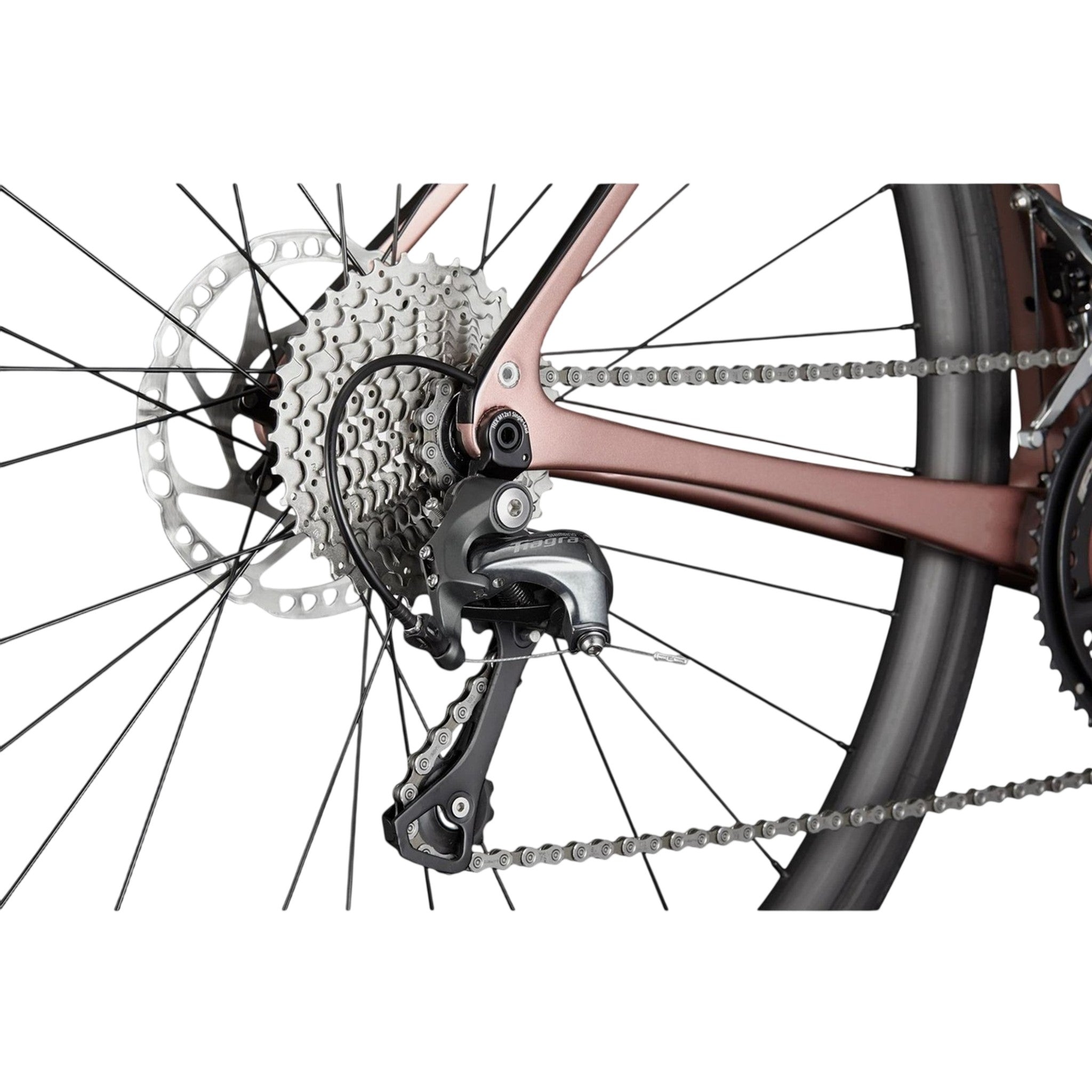Synapse Carbon 5