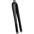 AR Disc Fork