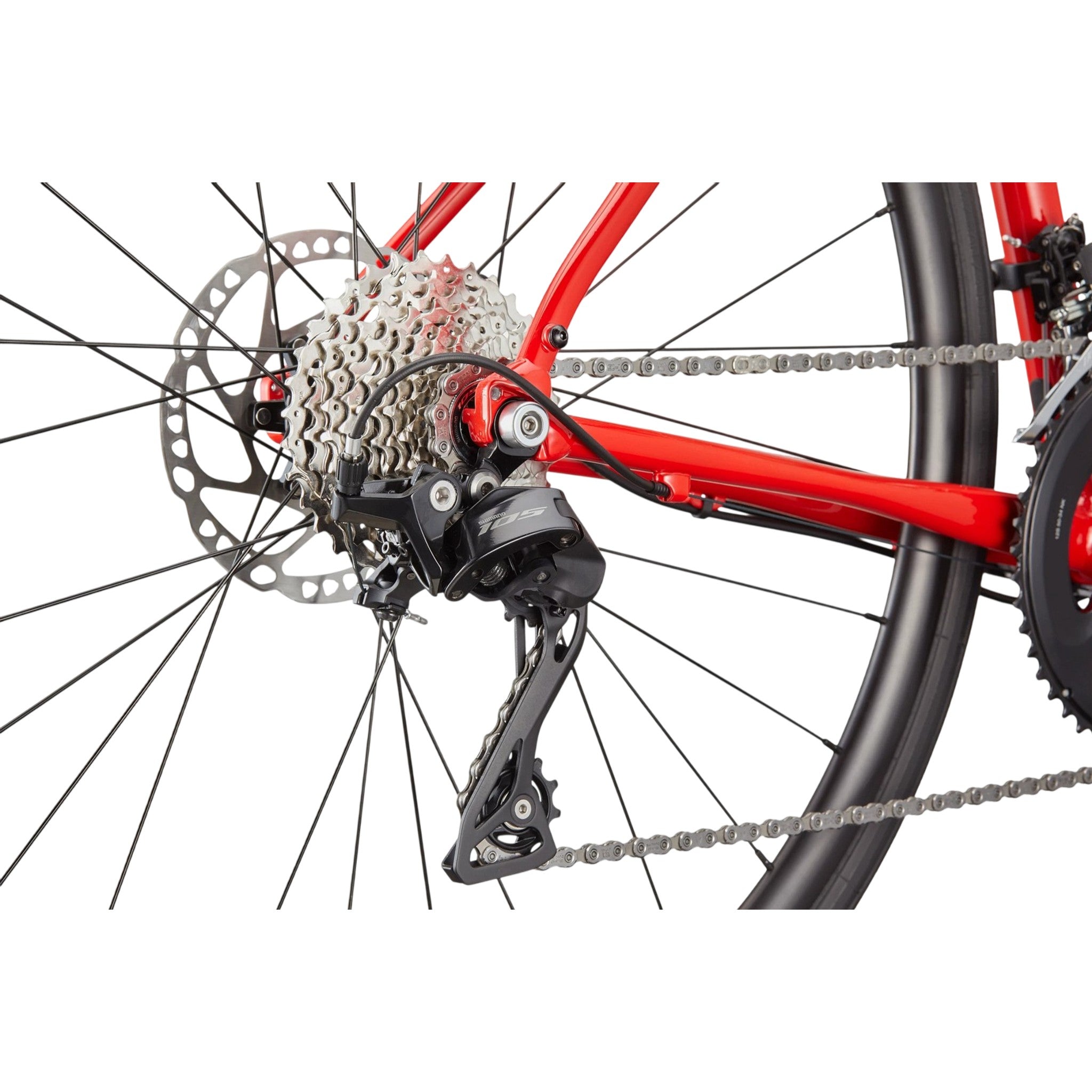 Synapse 1