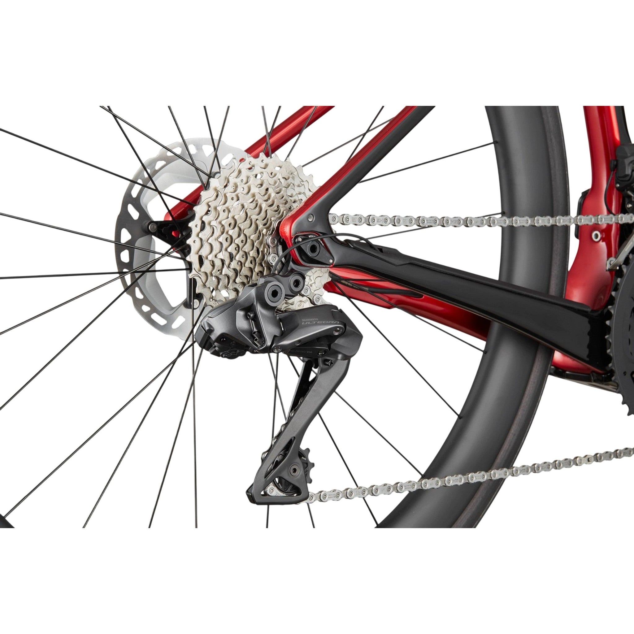 Synapse Neo