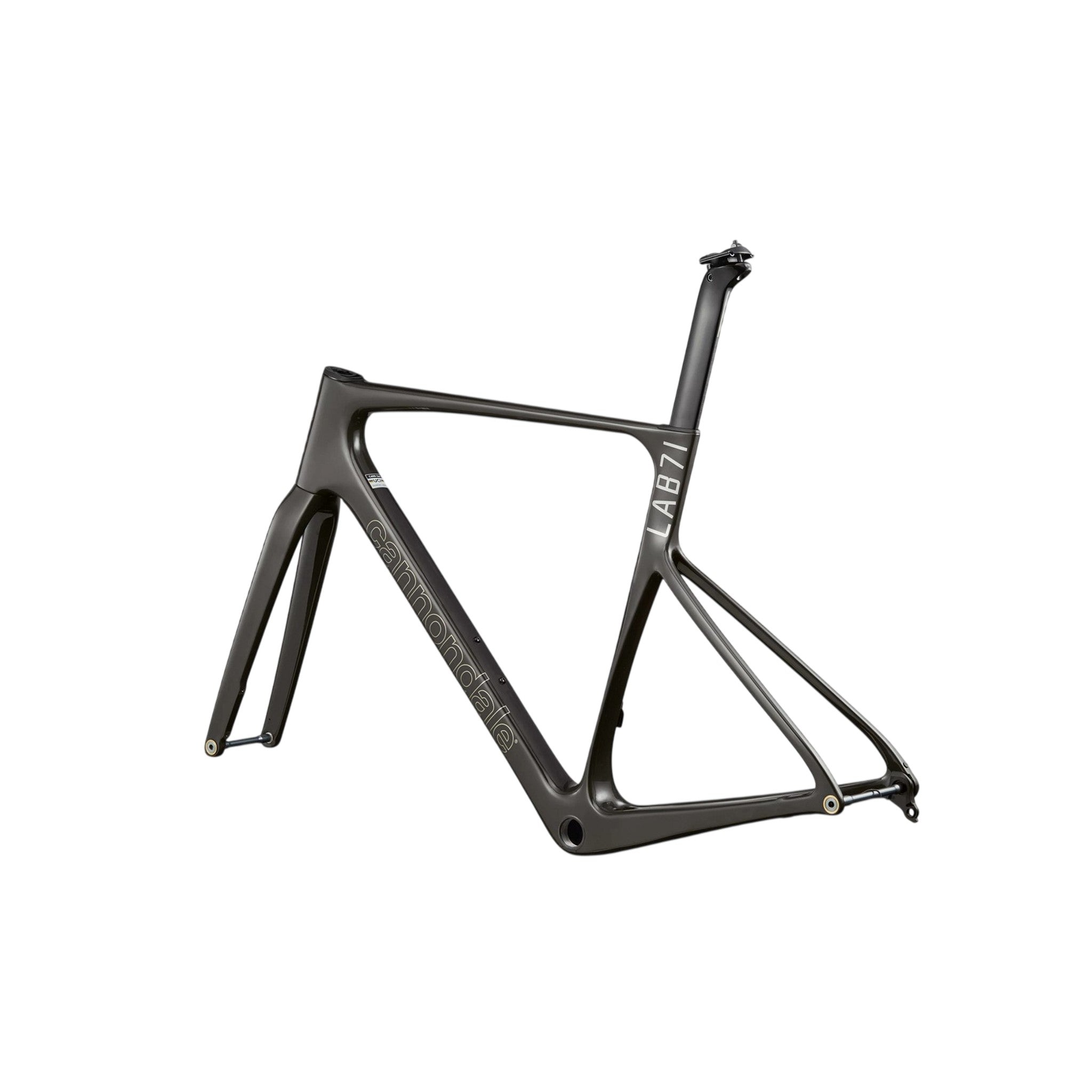2026 Cannondale LAB71 Supersix EVO Frameset 48cm RAW